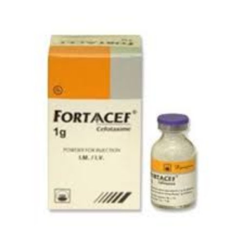 Fortacef 1gm - Ceftazidime for Injection